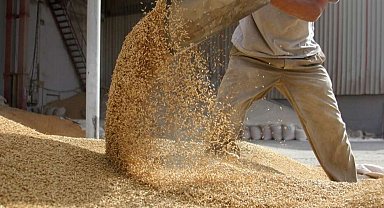 Bitkisel yağ ihracatı zirvede... Ege Bölgesi'nden 268 milyon dolarlık başarı