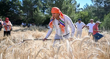 Bornova'da 5 tonluk buğday yerel üreticiye nefes olacak