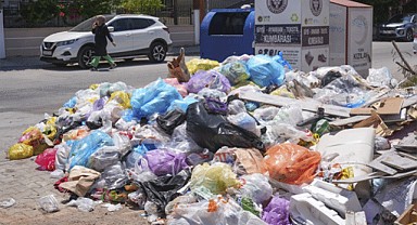 Buca Sokakları Çöp ve Koku ile Mücadele Ediyor