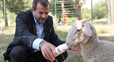 Bursa Gürsu'ya butik hayvanat bahçesi