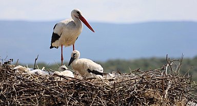 'Bursa Leylek Şenliği' coşkuyla başladı