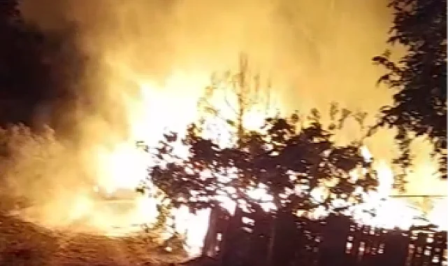 Bursa Mudanya'da bağ evinde yangın!