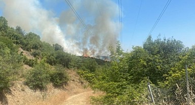 Bursa Ormanları Alev Alev: Aynı Bölge Yeniden Tehlikede!