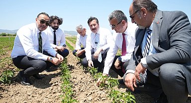 Bursa Yenişehir tarımı Afrika'ya açılıyor