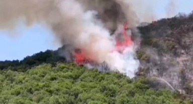 Bursa'da Yenişehirli çiftçilerden yangın seferberliği