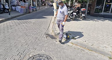 Çanakkale'de sinek alarmı