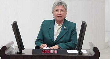 CHP'li Yontar'dan İklim Kanunu eleştirisi: Doğayı değil, sermayeyi kolluyor