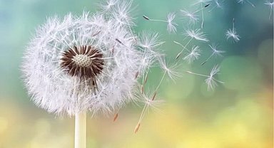 Çocuklarda polen alerjisi alarmı