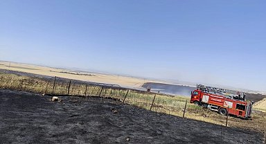 Diyarbakır Büyükşehir'den anız yangınlarına karşı uyarı