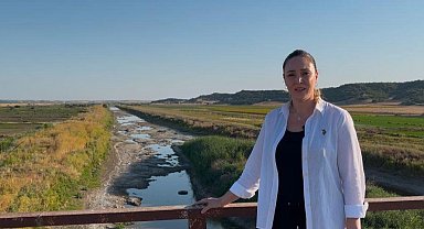 Edirne'de çeltik üreticileri alarm veriyor! Ergene Nehri kurudu, tarım tehdit altında