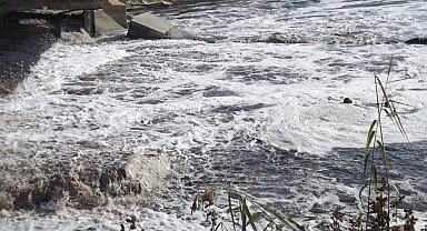 Ergene Nehri'ndeki kirlilik çevre felaketine dönüştü
