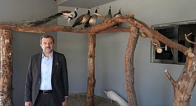 Gürsu'ya butik hayvanat bahçesi