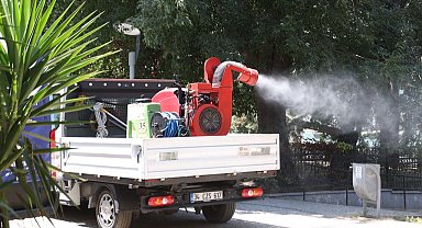 İstanbul Bakırköy'de zararlılara karşı ilaçlama seferberliği