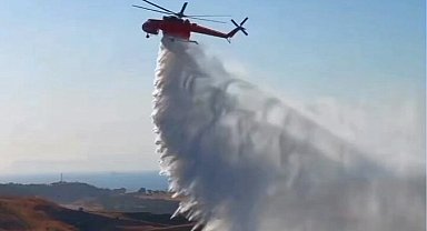 İzmir Aliağa'daki orman yangını kontrol altına alındı