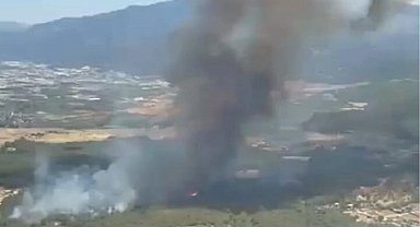 İzmir Bornova Yakaköy'de orman yangınına hızlı müdahale