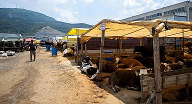 İzmir Bornova'da Kurban Pazarı kapılarını açtı