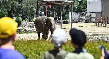 İzmir Doğal Yaşam Parkı bayramda ziyaretçileri bekliyor