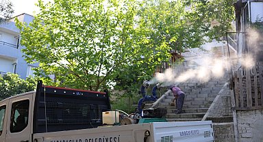 İzmir Karabağlar'da haşerelere karşı ilaçlama seferberliği