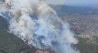 İzmir Menderes'te orman yangını... Havadan ve karadan müdahale sürüyor