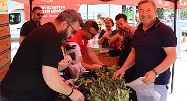 İzmit'ten vatandaşa ücretsiz fide desteği