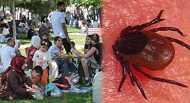 Kene Vakalarında Ciddi Artış!