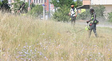 Kocaeli Çayırova'da boş arazilerdeki otlar biçiliyor
