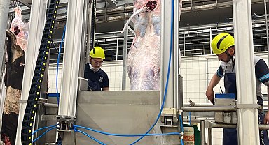 Kocaeli'den uyarı... Sakatatları açık halde çöpe atmayın