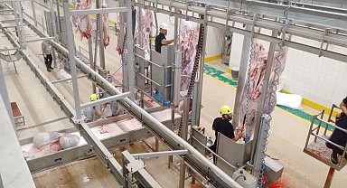 Kurbanlar Kocaeli'nin modern mezbahasında kesiliyor