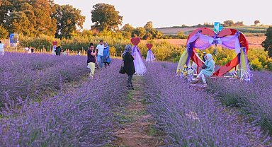 Lavanta kokusu İzmit'i saracak
