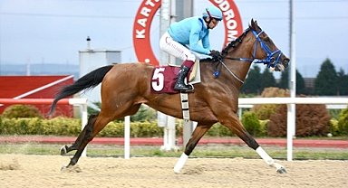 Leyla Atakan Koşusu'nu Prenses Sylvester kazandı