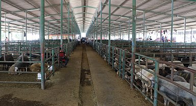 Manisa'da bayram hazırlıkları tamam!