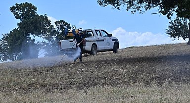 Manisa'da çekirge istilasına karşı mücadele