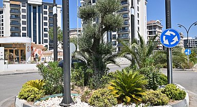 Manisa'da kurakçıl peyzajla su tasarrufu