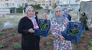 Mardin Artuklu Kent Kadın Bostanları'nda ilk hasat sevinci