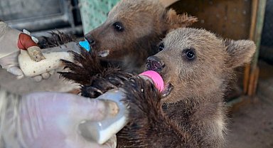 Mersin Tarsus'ta yavrular ziyaretçileri bekliyor