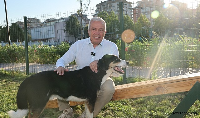 Nilüfer'de Can Dostlar Yeni Yuvalarına Kavuştu