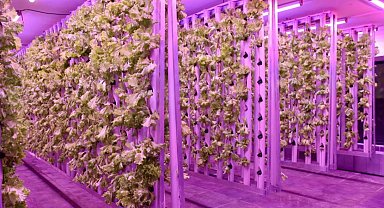 Ordu'da tarımda yeni dönem