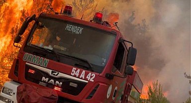 Orman'dan çağrı: 'Ormanın Kahramanları'na yol verin