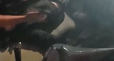 Otomobil ile çarpışan kurye yaralandı