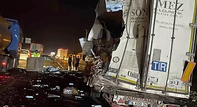 Sakarya'da Can Pazarı