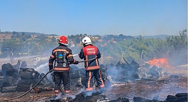 Sakarya Söğütlü'deki orman yangını kontrol altına alındı