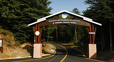 Sakarya'da tabiatın harikasına bayramda ziyaretçi akını