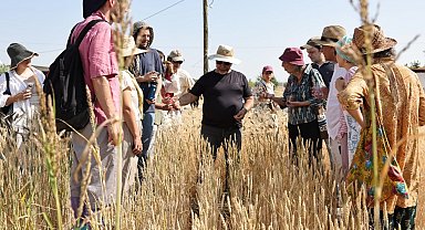 Slow Wheat Şanlıurfa 2025 coşkusu