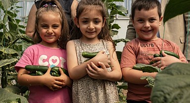 Uğur Böcekleri Doğayla Buluştu