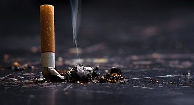 Yol kenarına atılan izmaritler yangına davetiye çıkarıyor