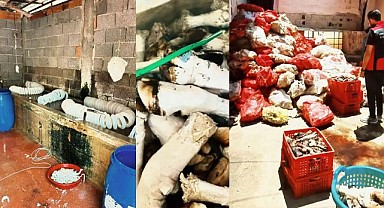 5 Tonluk Hijyen Skandalı!