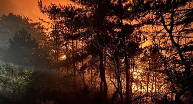 Alevler Arasında Can Pazarı