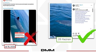 Antalya'da köpekbalığı iddiası dezenformasyon çıktı... DMM: O video Norveç'ten!