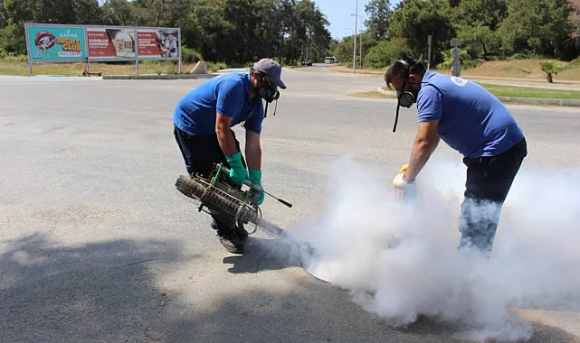 Antalya'nın tüm ilçelerinde haşereyle mücadele sürüyor