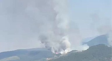 Balıkesir Sındırgı'da orman dışı alanda yangın!